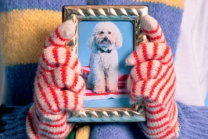 Bimba y Lola tambi n tiene accesorios para tu mascota esVivir